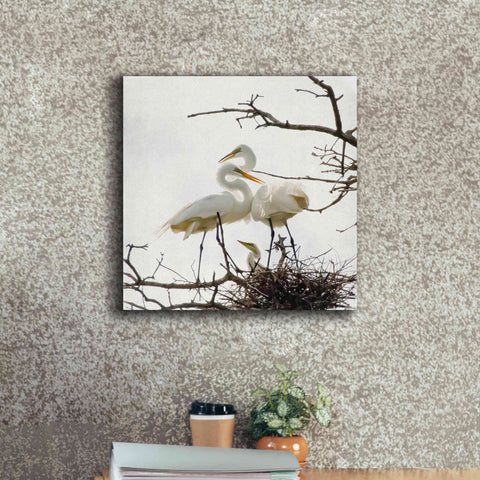 Image of 'Devotion' by Debra Van Swearingen, Canvas Wall Art,18 x 18