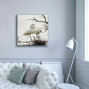 'Devotion' by Debra Van Swearingen, Canvas Wall Art,37 x 37