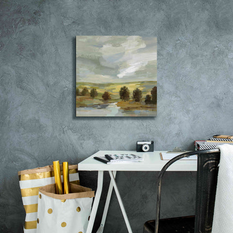 Image of 'Country Landscape' by Silvia Vassileva, Canvas Wall Art,18 x 18