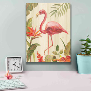 'Tropical Garden X' by Silvia Vassileva, Canvas Wall Art,12 x 16