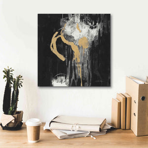 'Golden Rain I BW' by Silvia Vassileva, Canvas Wall Art,18 x 18