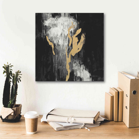 Image of 'Golden Rain II BW' by Silvia Vassileva, Canvas Wall Art,18 x 18