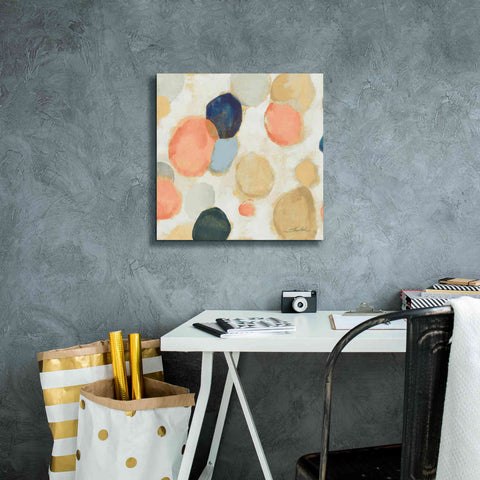 Image of 'Painted Pebbles II Boho' by Silvia Vassileva, Canvas Wall Art,18 x 18