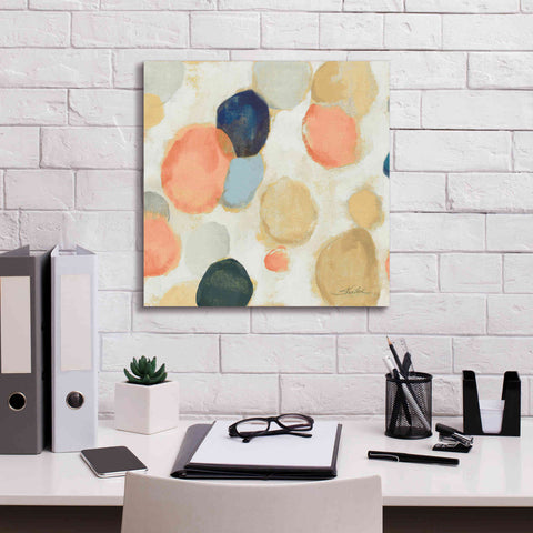 Image of 'Painted Pebbles II Boho' by Silvia Vassileva, Canvas Wall Art,18 x 18