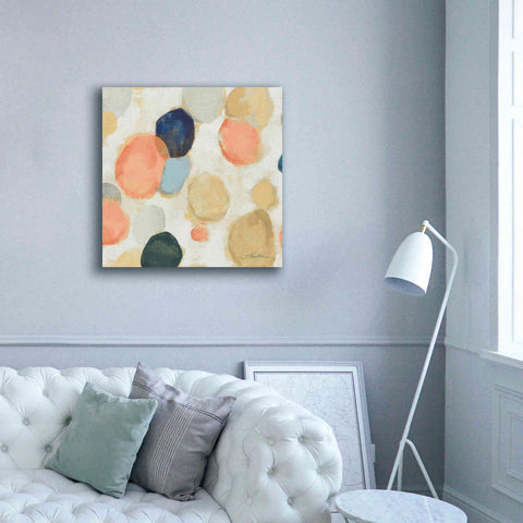 Image of 'Painted Pebbles II Boho' by Silvia Vassileva, Canvas Wall Art,37 x 37