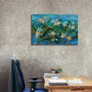 'Oceanside Plumeria' by Silvia Vassileva, Canvas Wall Art,40 x 26