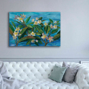 'Oceanside Plumeria' by Silvia Vassileva, Canvas Wall Art,60 x 40