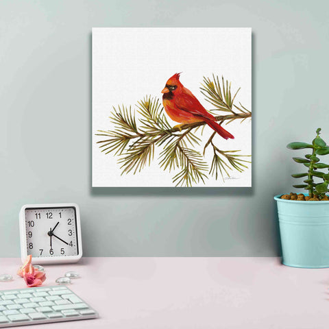 Image of 'Cardinal Christmas V on White' by Silvia Vassileva, Canvas Wall Art,12 x 12