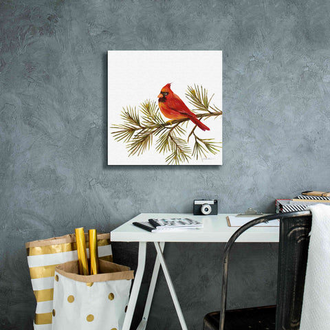 Image of 'Cardinal Christmas V on White' by Silvia Vassileva, Canvas Wall Art,18 x 18