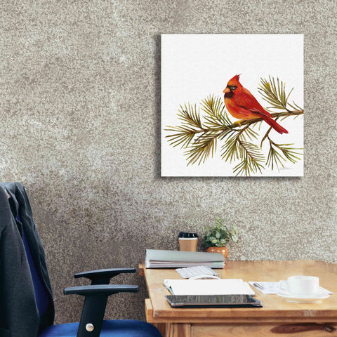Image of 'Cardinal Christmas V on White' by Silvia Vassileva, Canvas Wall Art,26 x 26