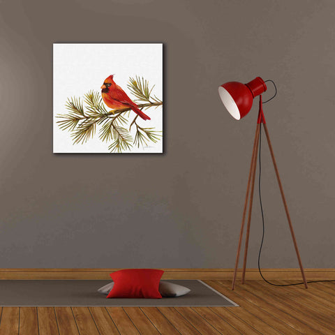 Image of 'Cardinal Christmas V on White' by Silvia Vassileva, Canvas Wall Art,26 x 26