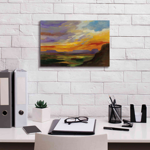 Image of 'Sonoran Desert Sunset' by Silvia Vassileva, Canvas Wall Art,18 x 12