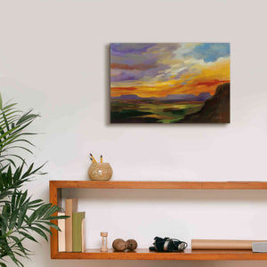 'Sonoran Desert Sunset' by Silvia Vassileva, Canvas Wall Art,18 x 12