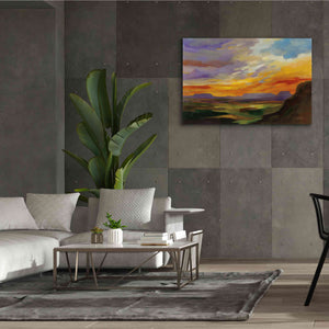'Sonoran Desert Sunset' by Silvia Vassileva, Canvas Wall Art,60 x 40