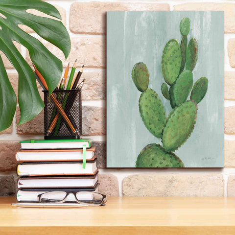 Image of 'Front Yard Cactus I Slate' by Silvia Vassileva, Canvas Wall Art,12 x 16