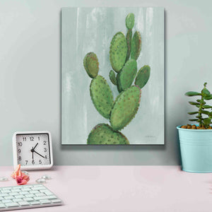 'Front Yard Cactus I Slate' by Silvia Vassileva, Canvas Wall Art,12 x 16