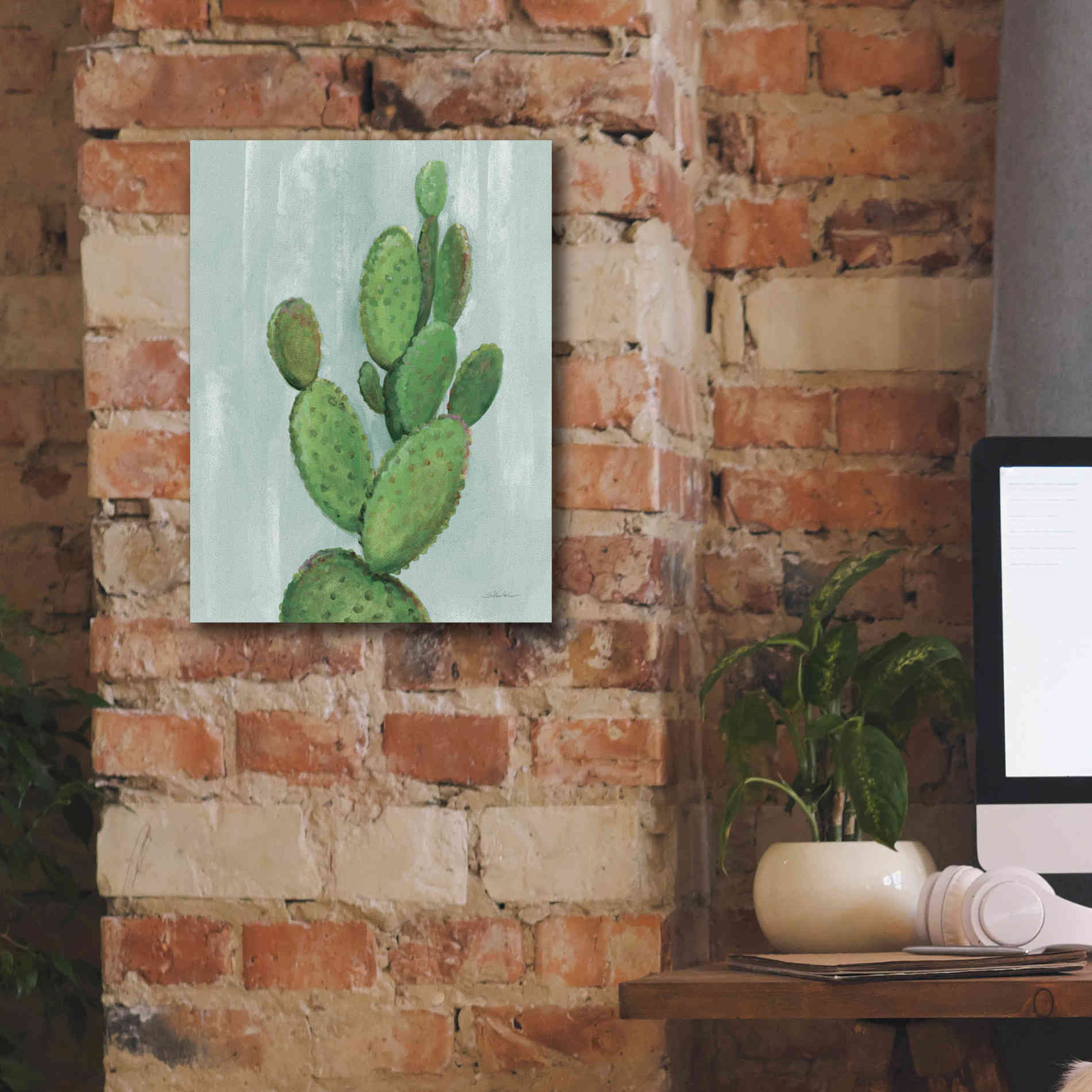 'Front Yard Cactus I Slate' by Silvia Vassileva, Canvas Wall Art,12 x 16