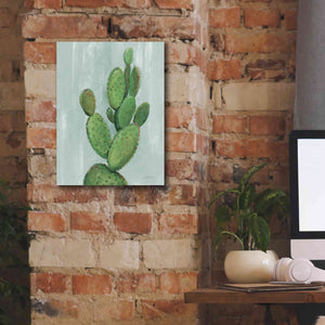 'Front Yard Cactus I Slate' by Silvia Vassileva, Canvas Wall Art,12 x 16