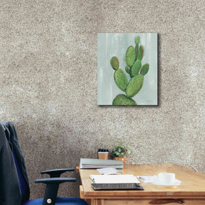 'Front Yard Cactus I Slate' by Silvia Vassileva, Canvas Wall Art,20 x 24