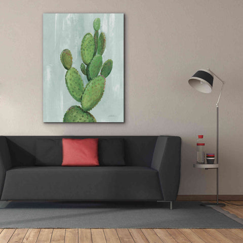 Image of 'Front Yard Cactus I Slate' by Silvia Vassileva, Canvas Wall Art,40 x 54