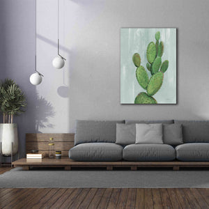 'Front Yard Cactus I Slate' by Silvia Vassileva, Canvas Wall Art,40 x 54