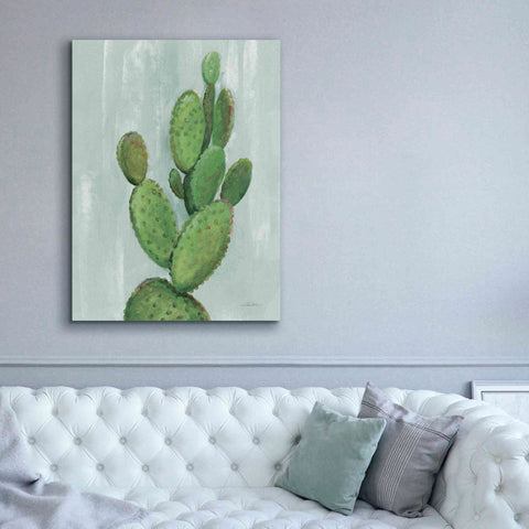 Image of 'Front Yard Cactus I Slate' by Silvia Vassileva, Canvas Wall Art,40 x 54