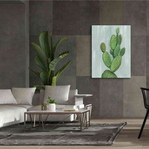 'Front Yard Cactus I Slate' by Silvia Vassileva, Canvas Wall Art,40 x 54