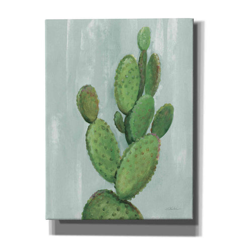 Image of 'Front Yard Cactus I Slate' by Silvia Vassileva, Canvas Wall Art,12x16x1.1x0,20x24x1.1x0,26x30x1.74x0,40x54x1.74x0