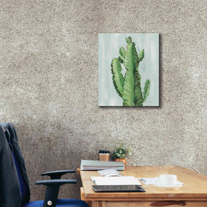'Front Yard Cactus II Slate' by Silvia Vassileva, Canvas Wall Art,20 x 24
