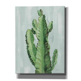 'Front Yard Cactus II Slate' by Silvia Vassileva, Canvas Wall Art,12x16x1.1x0,20x24x1.1x0,26x30x1.74x0,40x54x1.74x0