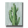 'Front Yard Cactus II Slate' by Silvia Vassileva, Canvas Wall Art,12x16x1.1x0,20x24x1.1x0,26x30x1.74x0,40x54x1.74x0