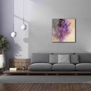 'Amethyst' by Silvia Vassileva, Canvas Wall Art,37 x 37