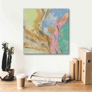 'Retro Jewel Tones I' by Silvia Vassileva, Canvas Wall Art,18 x 18