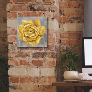 'Yellow Roses II' by Silvia Vassileva, Canvas Wall Art,12 x 12