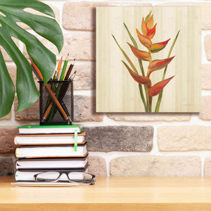 'Tropical Garden I' by Silvia Vassileva, Canvas Wall Art,12 x 12