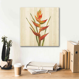'Tropical Garden I' by Silvia Vassileva, Canvas Wall Art,18 x 18