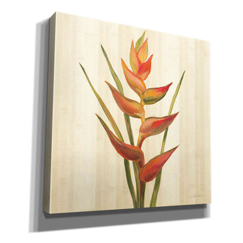 Image of 'Tropical Garden I' by Silvia Vassileva, Canvas Wall Art,12x12x1.1x0,18x18x1.1x0,26x26x1.74x0,37x37x1.74x0