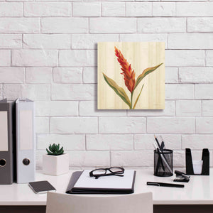 'Tropical Garden II' by Silvia Vassileva, Canvas Wall Art,12 x 12