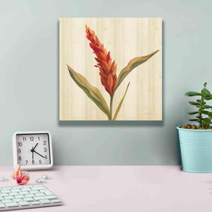 'Tropical Garden II' by Silvia Vassileva, Canvas Wall Art,12 x 12