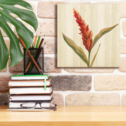 Image of 'Tropical Garden II' by Silvia Vassileva, Canvas Wall Art,12 x 12