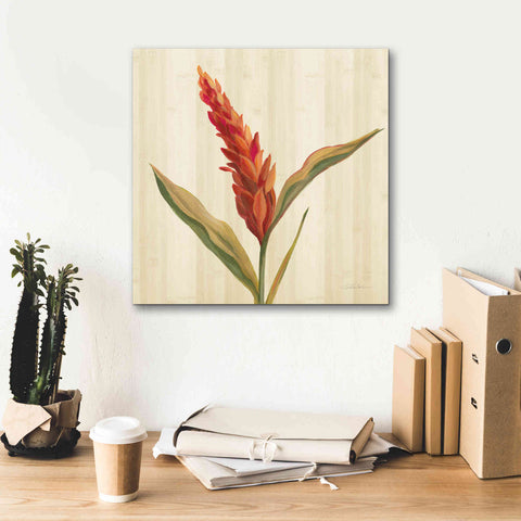 Image of 'Tropical Garden II' by Silvia Vassileva, Canvas Wall Art,18 x 18