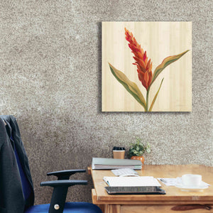 'Tropical Garden II' by Silvia Vassileva, Canvas Wall Art,26 x 26