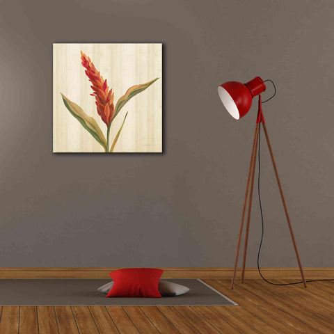 Image of 'Tropical Garden II' by Silvia Vassileva, Canvas Wall Art,26 x 26