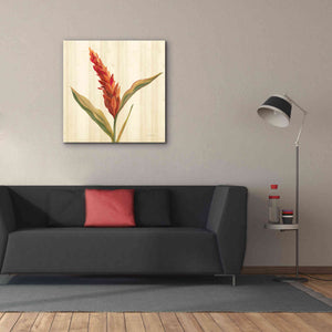 'Tropical Garden II' by Silvia Vassileva, Canvas Wall Art,37 x 37