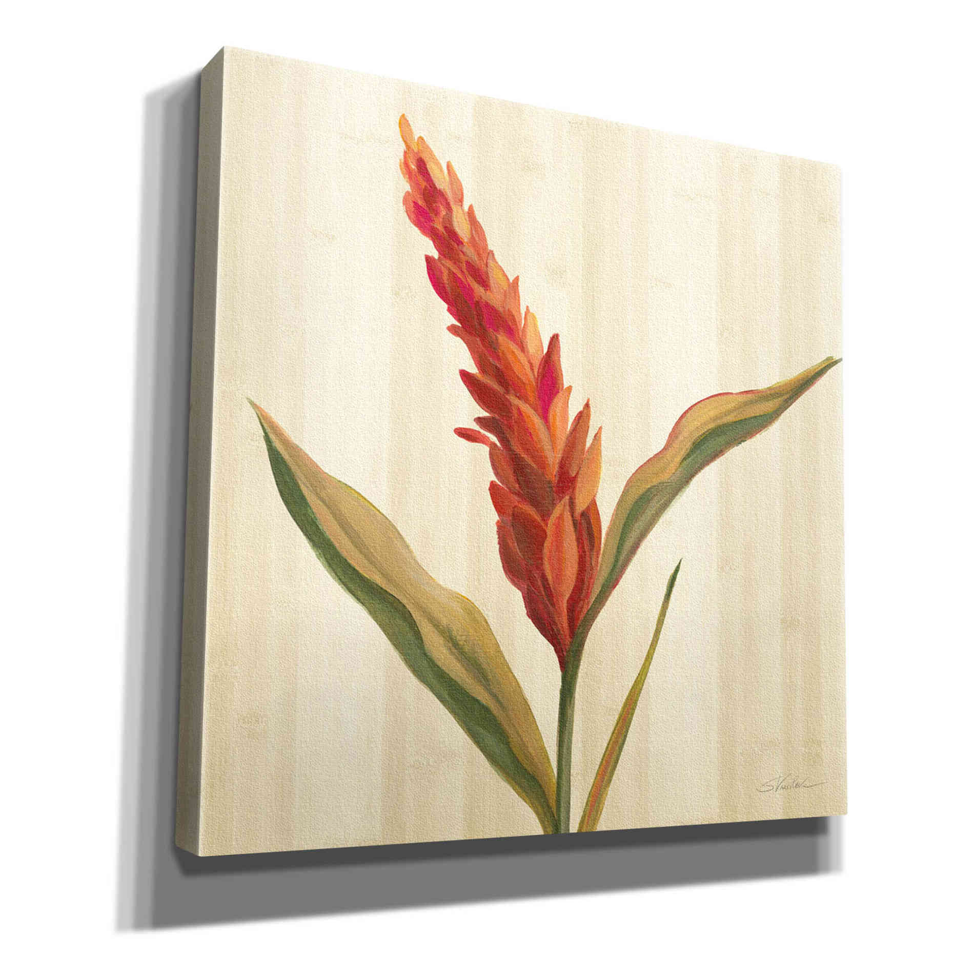 'Tropical Garden II' by Silvia Vassileva, Canvas Wall Art,12x12x1.1x0,18x18x1.1x0,26x26x1.74x0,37x37x1.74x0