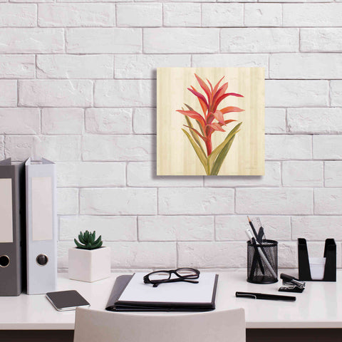 Image of 'Tropical Garden III' by Silvia Vassileva, Canvas Wall Art,12 x 12