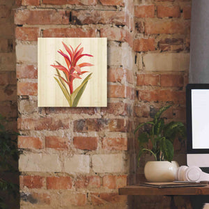'Tropical Garden III' by Silvia Vassileva, Canvas Wall Art,12 x 12