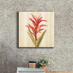 'Tropical Garden III' by Silvia Vassileva, Canvas Wall Art,18 x 18