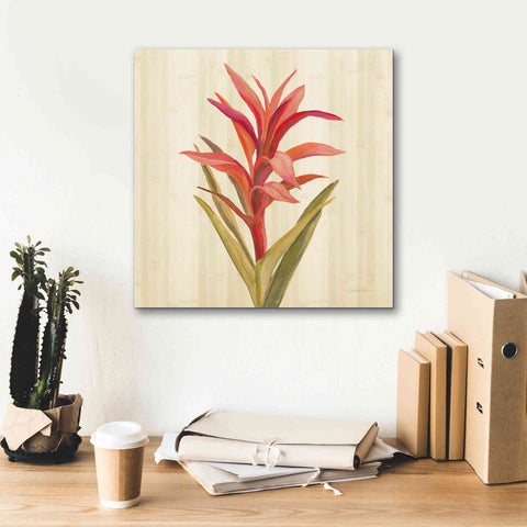 Image of 'Tropical Garden III' by Silvia Vassileva, Canvas Wall Art,18 x 18