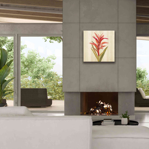 Image of 'Tropical Garden III' by Silvia Vassileva, Canvas Wall Art,26 x 26